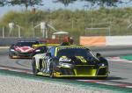 Audi R8 LMS GT2 2019 года